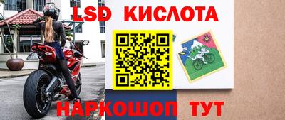мдпв Кингисепп