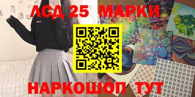 мдпв Кингисепп