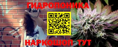 a pvp Канаш