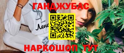 мдпв Кингисепп